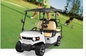 Customizado Off-Road Ácido de Chumbo Bateria de Caça Buggy Melhor Carrinho Elétrico de Golf